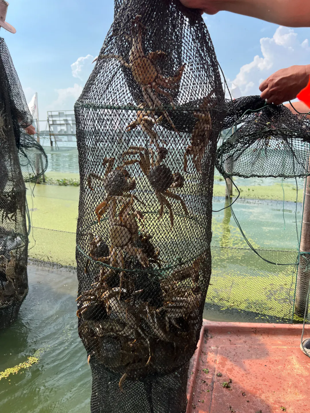 1759222273902324.png 640.webp (2).png